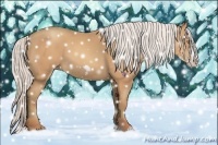 Horse Color:Silver Amber Champagne Frame