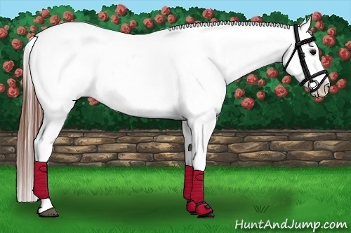 Horse Color:Black Blanket