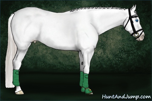 Horse Color:Palomino Splash Appaloosa 