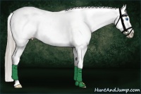 Horse Color:Palomino Splash Appaloosa 