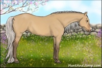 Horse Color:Silver Bay Dun 