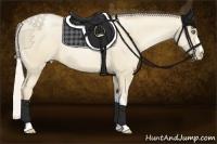 Horse Color:Silver Smoky Grullo Pearl 