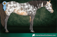 Horse Color:Buckskin Ice Rabicano 