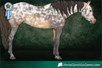 Horse Color:Buckskin Ice Rabicano 