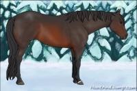 Horse Color:Brown 