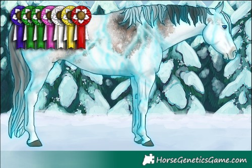 Horse Color:Thunderstruck White Spotted Brown Ice Sabino Splash 