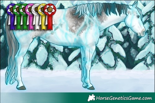 Horse Color:Thunderstruck White Spotted Brown Ice Sabino Splash 