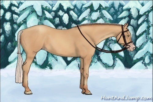 Horse Color:Silver Amber Champagne Frame 