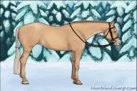 Horse Color:Silver Amber Champagne Frame 