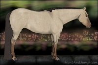 Horse Color:Liver Red Dun Roan 