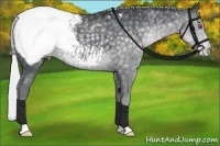 Horse Color:Silver Black Chinchilla Snowcap