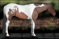 Horse Color:Bay Roan Tobiano Blanket Rabicano