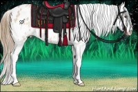 Horse Color:Bay Roan Pearl Splash Appaloosa