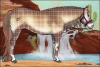 Horse Color:Plaid  Liver Red Onyx 
