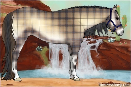 Horse Color:Plaid Buckskin Onyx