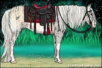 Horse Color:Plaid  Chocolate Palomino Onyx  and Cremello Onyx 