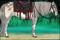 Horse Color:Plaid  Chocolate Palomino Onyx Varnish 