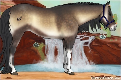 Horse Color:Buckskin Onyx 