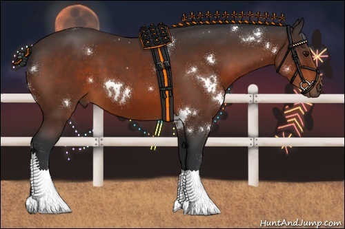 Horse Color:White Spotted Bay 
