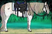 Horse Color:Nacre Liver Red Dun Ice Roan Onyx Splash 