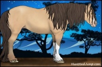 Horse Color:Amber Champagne 