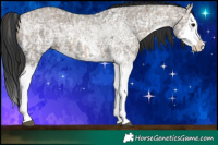 Horse Color:Brown Ice Dun Sabino Splash  and Grullo Ice Sabino Splash 