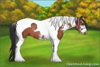 Horse Color:Bay Sabino Tobiano Rabicano