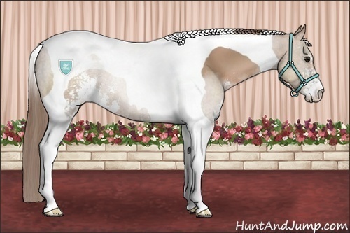 Horse Color:Black Pearl Sabino Tobiano