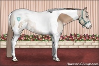 Horse Color:Black Pearl Sabino Tobiano