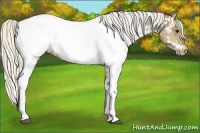 Horse Color:Silver Buckskin Tobiano Near Fewspot