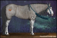 Horse Color:Grullo Chinchilla Sabino Splash and Grullo Sabino Splash