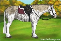 Horse Color:Smoky Grullo Sabino Splash  and Silver Smoky Grullo Sabino Splash 