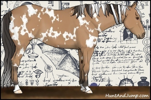 Horse Color:White Spotted Buckskin 