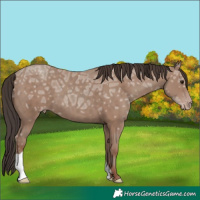 Horse Color:Classic Champagne Ice 