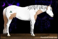 Horse Color:Brown Pearl Sabino Splash Tobiano Rabicano 