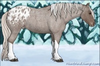 Horse Color:Silver Blue Roan Tobiano Appaloosa