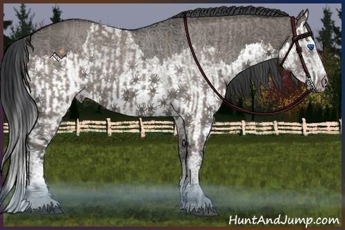 Horse Color:Grullo Sabino Splash  and Grullo Sabino Splash 
