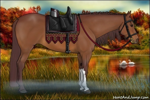 Horse Color:Chocolate Bay 