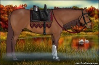 Horse Color:Chocolate Bay 