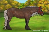 Horse Color:Silver Bay Sabino