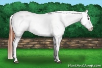 Horse Color:Bay Roan Dun Frame Varnish