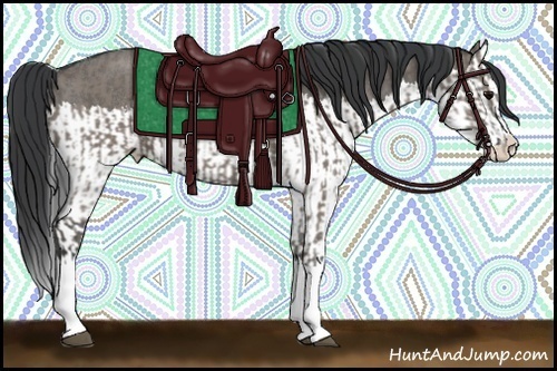 Horse Color:Grullo Sabino Splash and Grullo Sabino Splash Rabicano