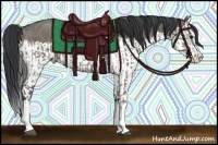 Horse Color:Grullo Sabino Splash and Grullo Sabino Splash Rabicano