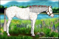 Horse Color:Amber Champagne Pearl Near Leopard 