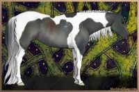 Horse Color:Black Sabino Tobiano Rabicano 