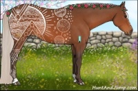 Horse Color:Silver Bay Sabino