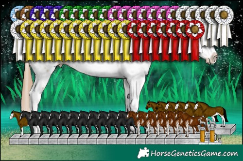 Horse Color:Brown Pearl Sabino Splash Rabicano 