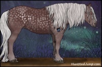 Horse Color:Chocolate Silver Black Chinchilla 