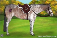 Horse Color:Bay Ice and White Spotted Bay Ice Sabino Rabicano