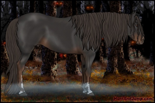 Horse Color:Liver Chestnut Sabino